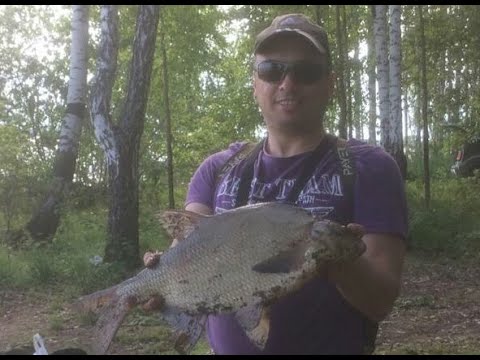 Видео: Рыбалка на фидер. Белоярское водохранилище 28 мая 2020 г.