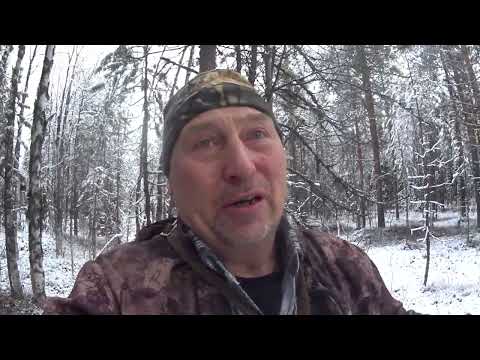 Видео: Новый сезон капканов открыт.