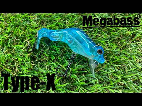 Видео: Обзор воблера Megabass Type-X по заказу Fmagazin
