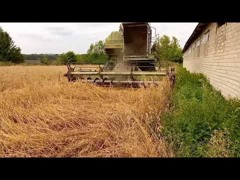 Видео: воспоминания от уборки 😊👍