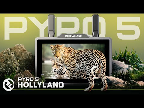 Видео: Обзор беспроводного монитора Pyro 5 | Прямое управление камерой, двухдиапазонная передача и прокс...