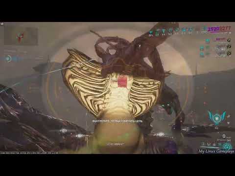 Видео: Warframe [Чумная звезда]