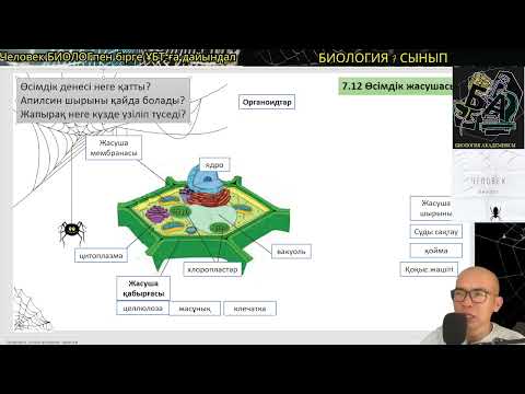 Видео: 7.12 Өсімдік жасушасы