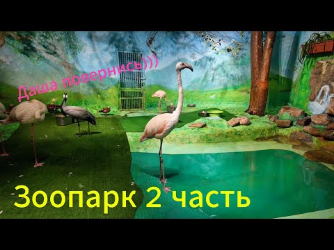 Видео: Екатеринбург. Зоопарк. 2 часть экскурсии.