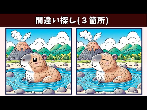 Видео: Найдите 3 отличия | Иллюстрация Версия #1349