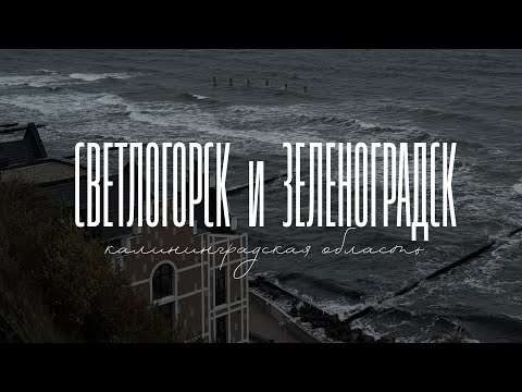 Видео: Поляк в Калининградской области 🍁 Золотая осень у Балтийского моря