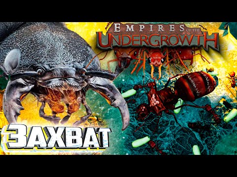 Видео: Захват и Первое Испытание на Безумие - Empires of the Undergrowth #2