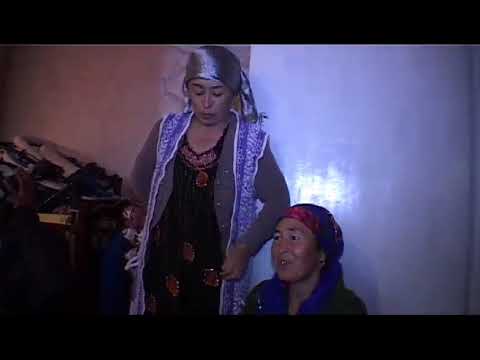 Видео: туй Табошар