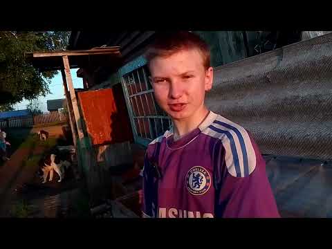 Видео: 5 Ошибок начинающих Кролиководов, Кормление Кроликов травой.