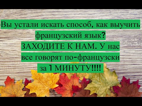Видео: КАК заговорить по-французски всего за 1 минуту!💖💖💖💖💖