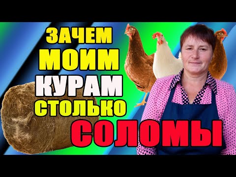 Видео: Зачем моим курам столько соломы. Как солома влияет на почву.