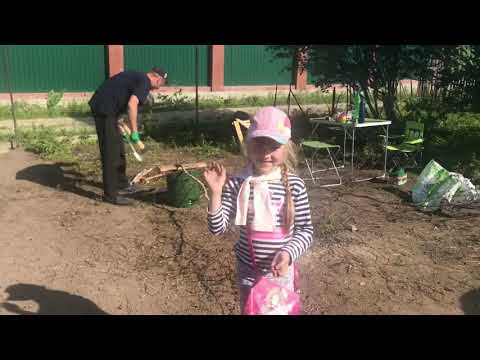 Видео: Дача. Убираем территорию. Грядки. Газон.