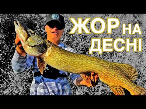 Видео: НА ДЕСНІ ПОЧАВСЯ ЖОР! Трофейна ЩУКА і СУДАК на Джиг у Жовтні