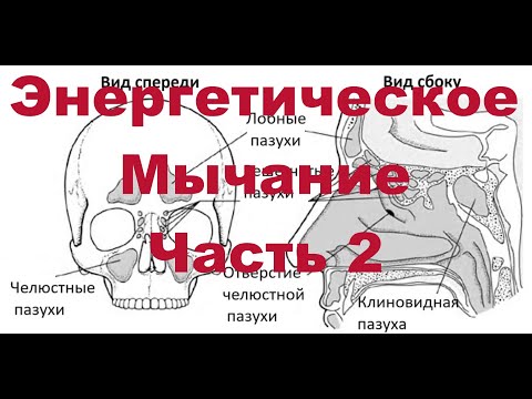 Видео: Энергетическое Мычание. Часть 2