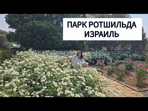 Видео: Необычные часы и розовая магия в парке Ротшильда в Израиле. 