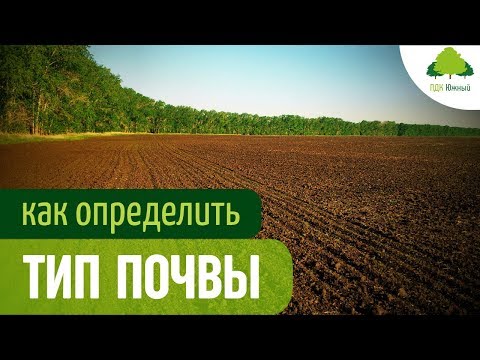 Видео: Типы почвы, ее состав и показатели. Почвоведение для ландшафтного дизайна