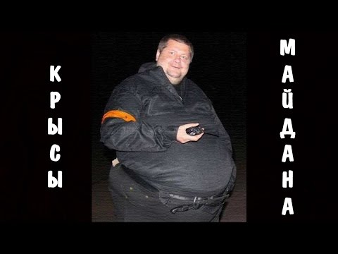 Видео: КРЫСЫ МАЙДАНА | ИГОРЬ МОСИЙЧУК