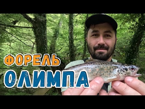 Видео: Что клюёт в горах Олимпа? | Рыбалка в Греции