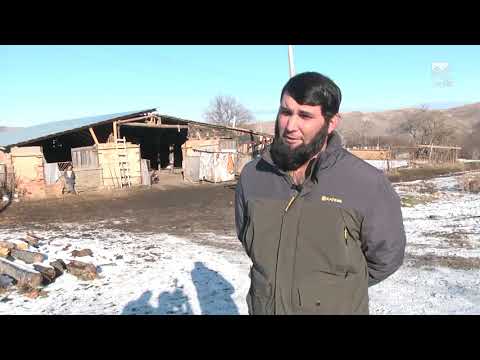 Видео: Сельский кластер - Фермерское хозяйство Замрата Саитова (11.12.2019)