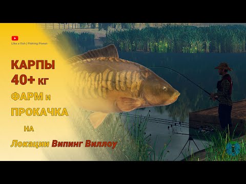 Видео: Fishing Planet - Карпы 40+ кг на Випинг Виллоу. Фарм, прокачка на Карпах. Прикорм на большого Карпа.