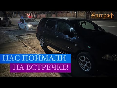 Видео: НАС ПОЙМАЛИ НА ВСТРЕЧКЕ! SAFARI