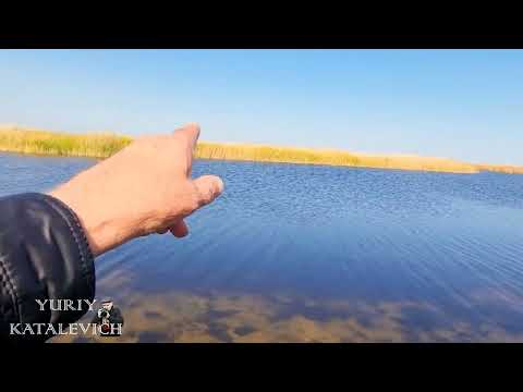 Видео: Степи, реки и озера в Костанайской области Аулиекольский р-он