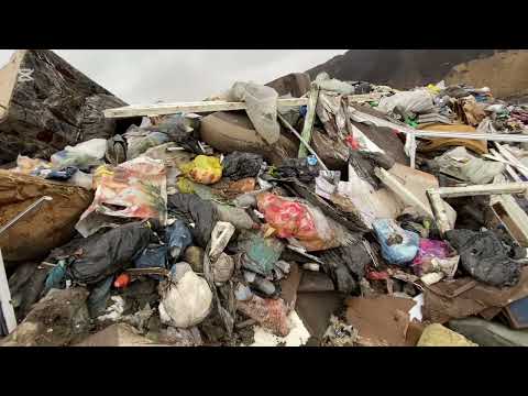 Видео: Очередной вынос с хаты, мои трофеи на сегодня две стиралки и электроплита!