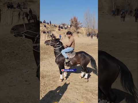 Видео: 11 ноября 2025 г.