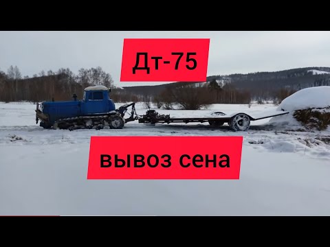 Видео: Дт-75. Вывозка сена зимой из сенокоса.#дт75#тележка#лебедка