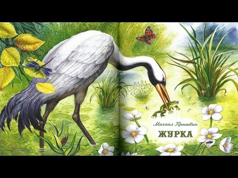 Видео: ЖУРКА | Михаил | Пришвин | аудио сказка | Аудиосказки | Сказки на ночь | Слушать сказки онлайн