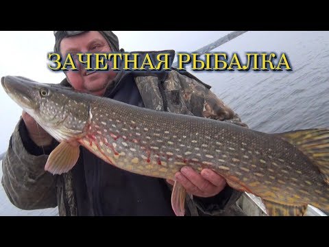 Видео: Вот это рыбалка!!! Щука на кружки в озере Стерж!!