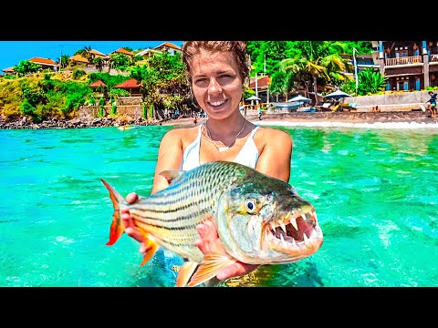Видео: Ловим рыбу на Бали. Рыбалка не для слабонервных. Пляжи Бали без карантина. Снорклинг в Амеде