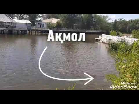 Видео: Жылжиды аққу...