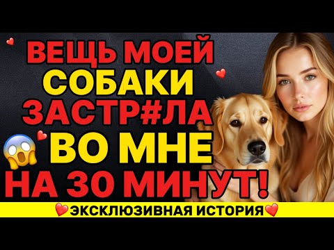 Видео: Моя собака делает это для меня каждый раз, когда мой муж уезжает в командировку