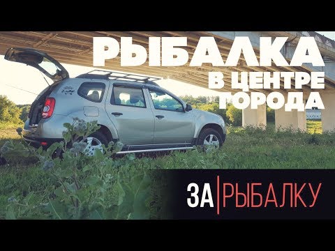 Видео: Рыбалка в центре города Могилева