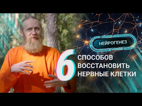 Видео: Йога-танцы для молодости мозга. И еще 5 способов восстановить нервные клетки