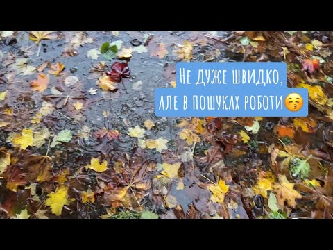 Видео: Живемо/ ферментуємо капусту/ сходила в центр зайнятості 
