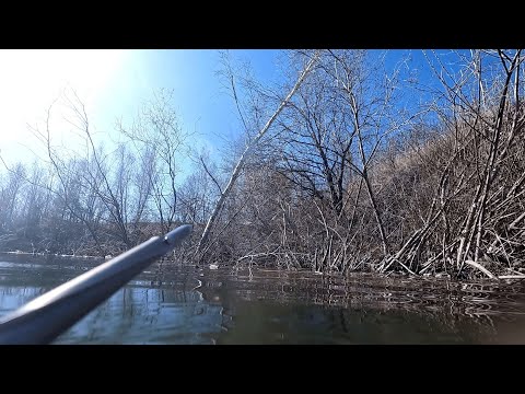 Видео: Дневной свет