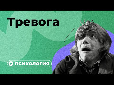 Видео: Почему вас мучает тревога?