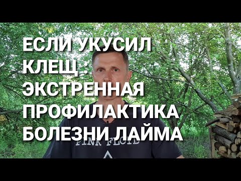 Видео: Если укусил клещ: экстренная профилактика болезни Лайма