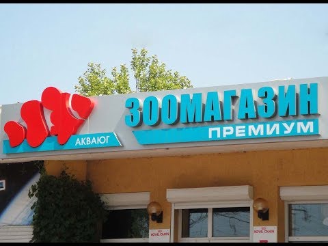 Видео: Зоомагазин - аквариумы, рыбки и декор для аквариума по лучшим ценам.