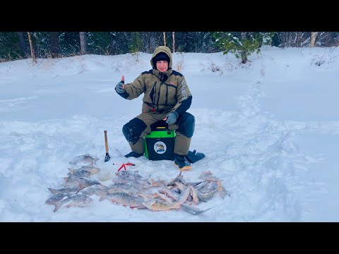 Видео: Язь, Окунь и Сорога, размером с Язя, удачная рыбалка в середине января. Зимняя рыбалка 2024. Часть 1