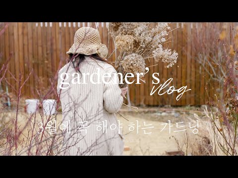 Видео: 5 вещей, которые вы должны сделать в саду в марте 🌿