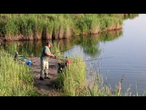 Видео: Рыбалка на Ворошиловском озере. Ловля толстолобика.