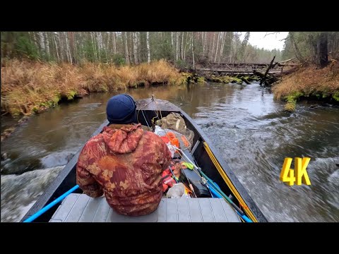 Видео: ЧЕРЕЗ БРЕВНА И ЗАВАЛЫ, ЗАКРЫВАЕМ СЕЗОН ЖИДКОЙ ВОДЫ | 2 ЧАСТЬ | WE CLOSE THE SEASON OF LIQUID WATER