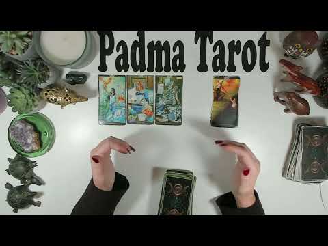 Видео: ДЕВА♍️ЭТО ПРИЗЫВ К ДЕЙСТВИЮ, СЕЙЧАС ВАШ ШАНС! 10-16 НОЯБРЯ. Еженедельное гадание на картах Таро 🔮💫