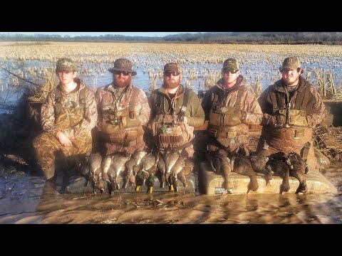 Видео: БЕЗУМНАЯ охота на уток на затопленном рисовом поле