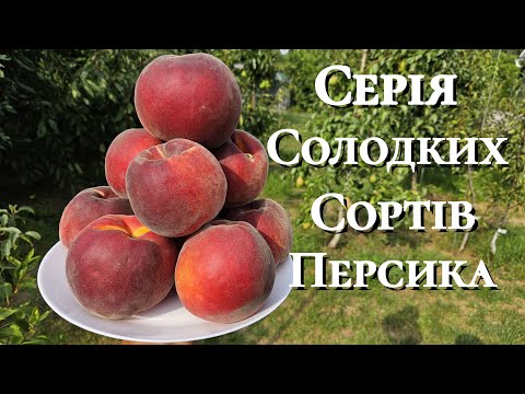 Видео: Персик Екстрім Світ