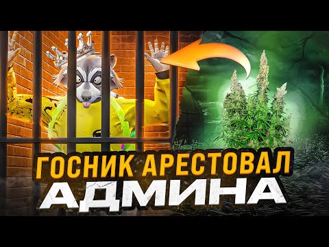 Видео: ГОСНИК АРЕСТОВАЛ АДМИНИСТРАТОРА СЕРВЕРА И БЫЛ НАКАЗАН В ГТА 5 РП