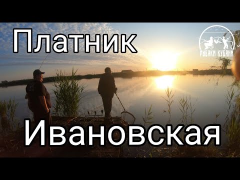 Видео: РЫБАЛКА СТ. ИВАНОВСКАЯ, ОТЛИЧНЫЙ ПЛАТНИК НЕДАЛЕКО ОТ ГОРОДА
